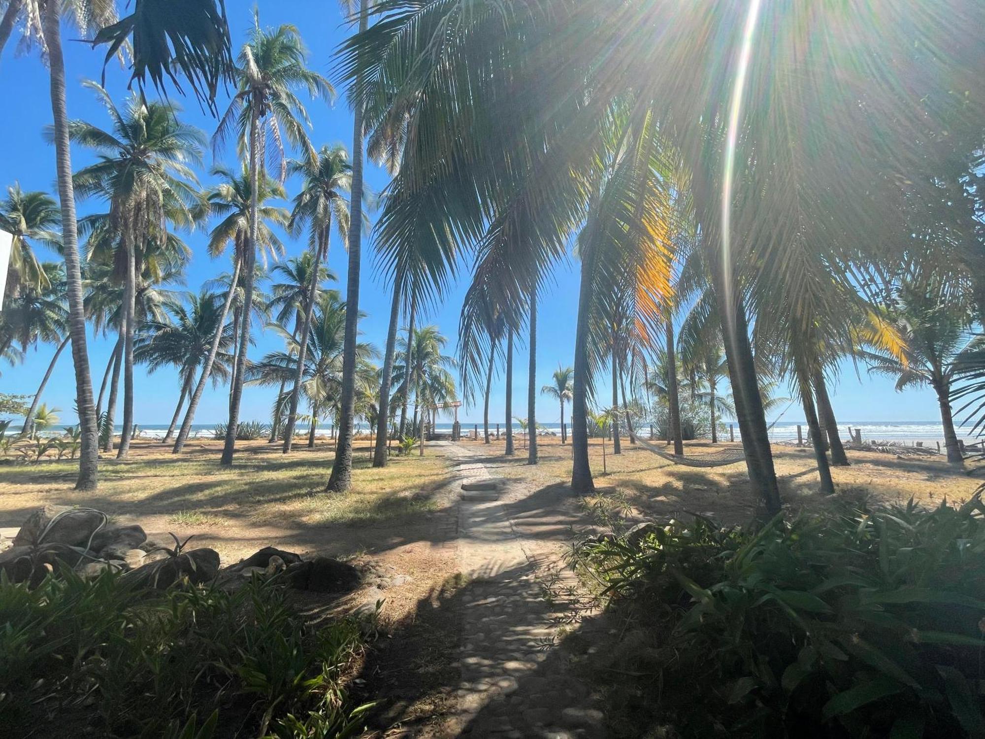Sugarloaf Beach House & Surf Lodge El Cuco Ngoại thất bức ảnh