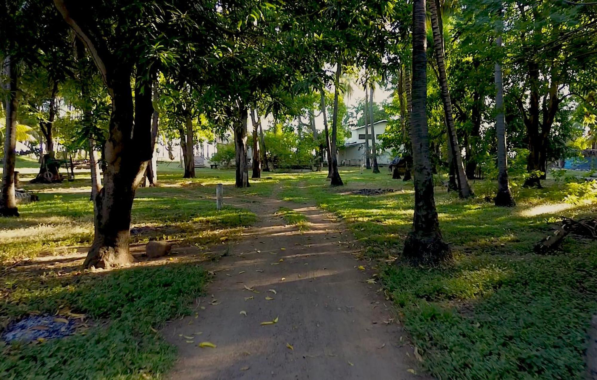 Sugarloaf Beach House & Surf Lodge El Cuco Ngoại thất bức ảnh